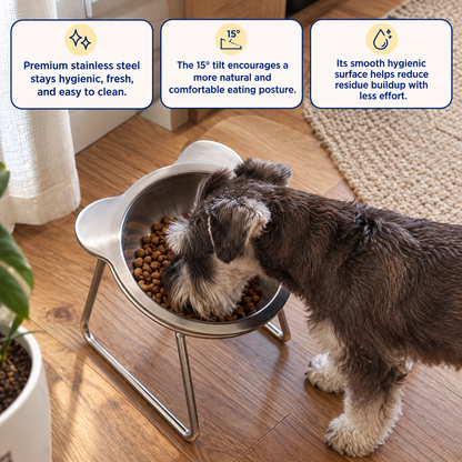 Orthopedic Feeding Bowl (with Bowl Stands)