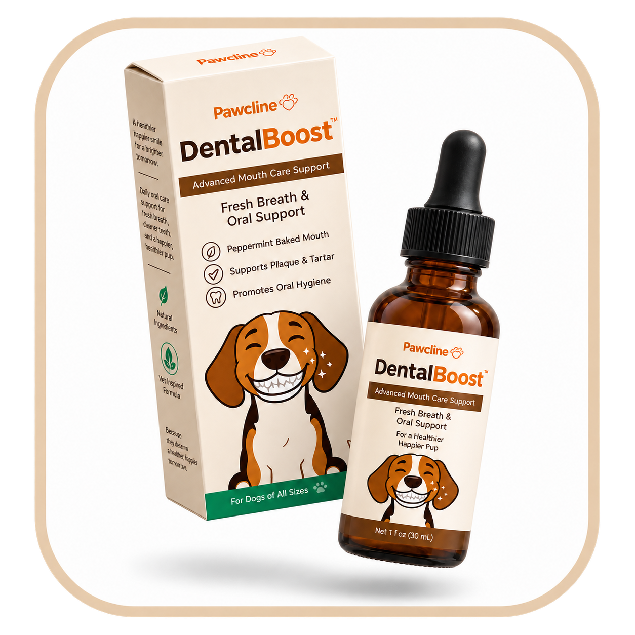 Dental Boost