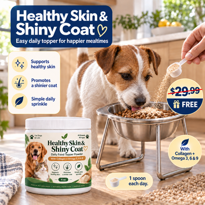 Orthopedic Feeding Bowl (with Bowl Stands)