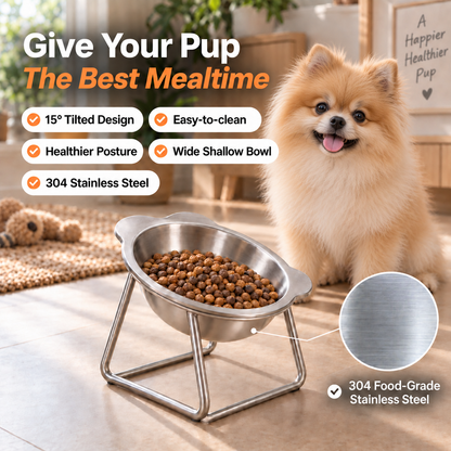Orthopedic Feeding Bowl (with Bowl Stands)