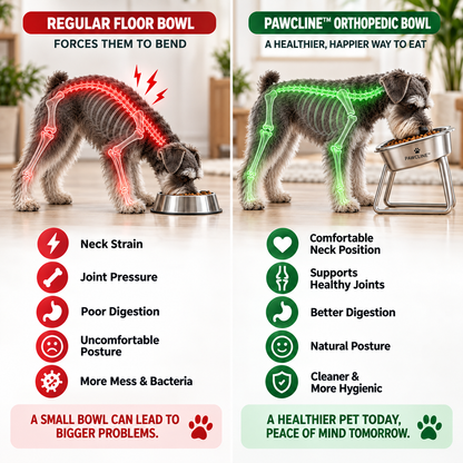 Orthopedic Feeding Bowl (with Bowl Stands)